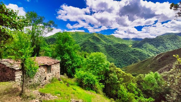 Cabin and forest near Almurfe village, Belmonte de Miranda municipality, Asturias, Spain - Photo, image