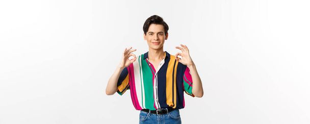 Satisfied young queer man showing okay signs and smiling in approval, agree and like something, praise excellent choice, standing over white background. - Photo, Image