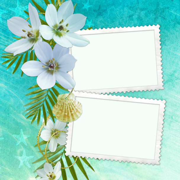 Summer greeting card - Valokuva, kuva