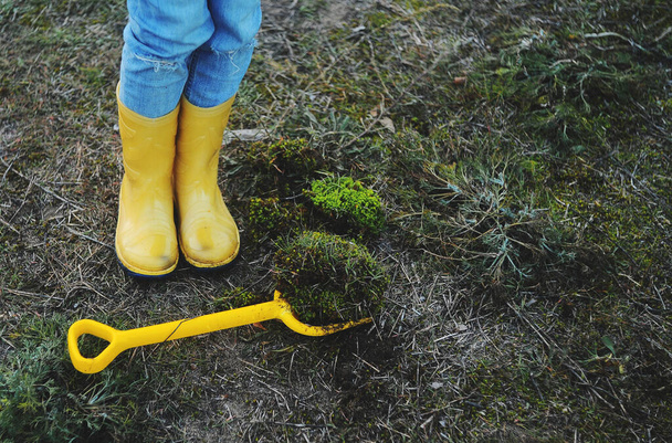 child holding with a shovel the moss in the forest - Foto, afbeelding