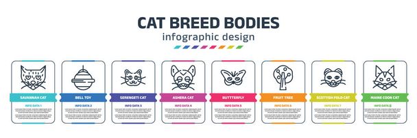 cat breed bodies infographic design template with savannah cat, bell toy, serengeti cat, ashera buttterfly, fruit tree, scottish fold maine coon icons. can be used for web, banner, info graph. - Vector, Image