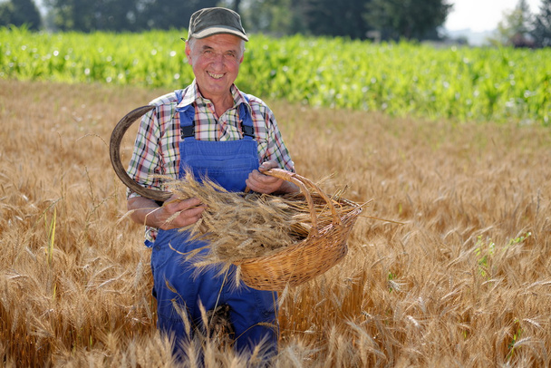 agricultor em pé num campo de trigo - Foto, Imagem