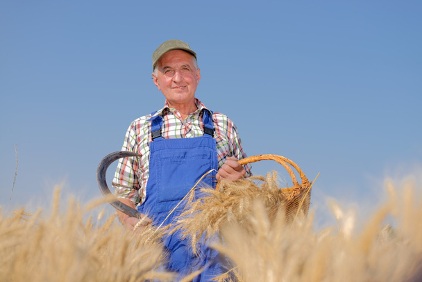 farmer standing in a wheat field - Valokuva, kuva