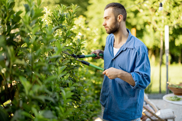 Bahçede makasla yeşil çalıları budayıp duran şık bir adam. Açık havada çalışırken yakışıklı bahçıvan. - Fotoğraf, Görsel