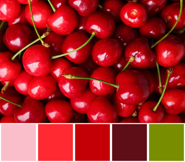 Sweet cherries, closeup. Different color patterns - Foto, Imagen