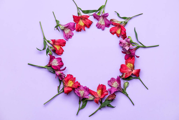 Frame made of beautiful alstroemeria flowers on lilac background - 写真・画像