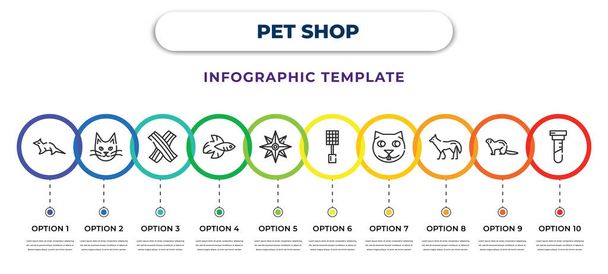 pet shop infographic design template with sable, turkish angora, bacon, siamese fighting fish, wind rose, fly ter, mink, coyote, test tube icons. can be used for web, banner, info graph. - Vektor, Bild