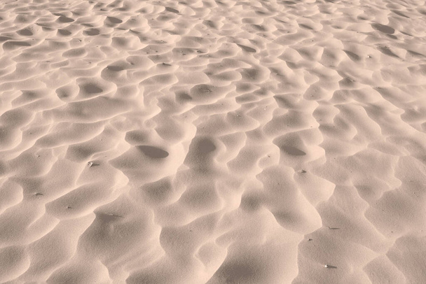 Sand beach texture background on summer season, dry sand on the seashore, desert. Beach sand - the art of nature. Sand dune desert. The uneven surface of a sea beach. Nature close-up abstract - Valokuva, kuva