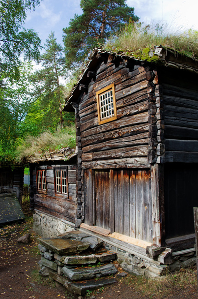 Norwegian House with grass roof. - Foto, Bild