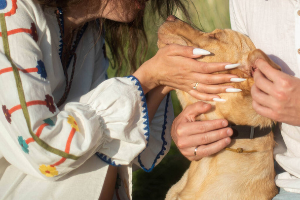 Young woman in traditional Ukrainian clothes kisses a Labrador dog. Close up, nails with manicure. Wedding ring - Foto, afbeelding