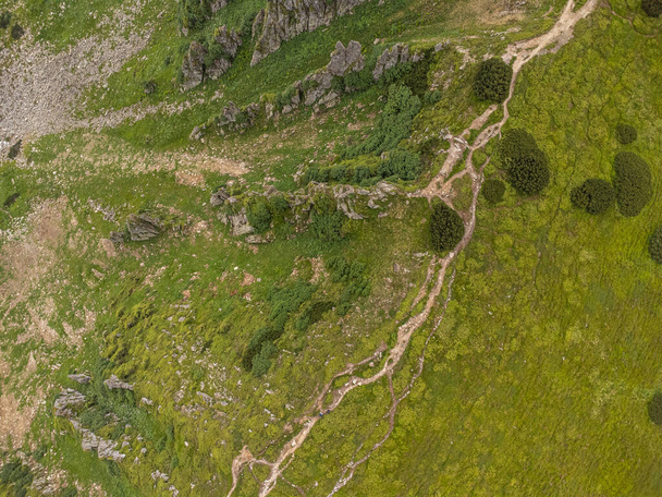 aerial view of the mountains in the summer - Фото, зображення