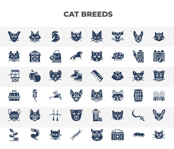 filled cat breeds icons set. glyph icons such as nese cat, egyptian mau cat, american curl highlander burmese pixie bob, pixie bob sickle, centipide vector. - Vector, Image
