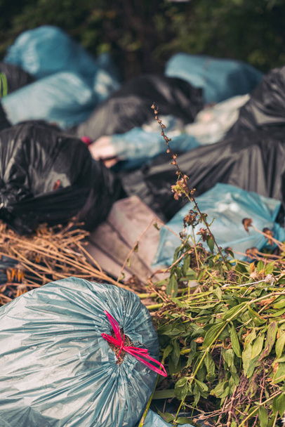 A closeup shot of a pile of trash bags with organic waste - pollution concept - Photo, image