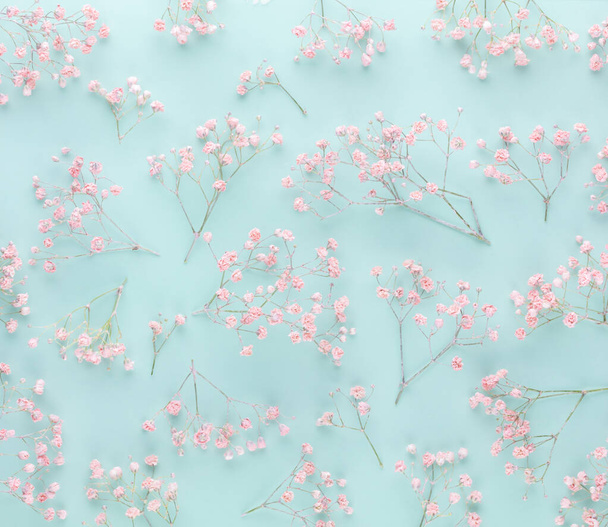 Gypsophila flowers on pastel background. Flat lay, top view, copy space. - Foto, immagini