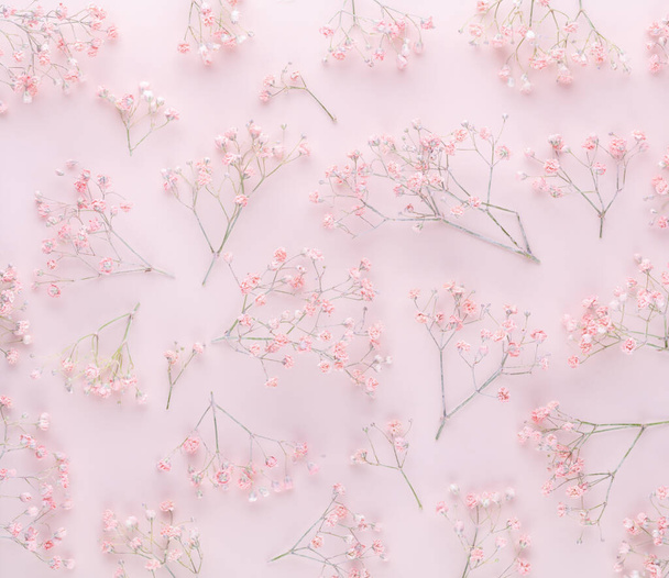 Gypsophila flowers on pastel background. Flat lay, top view, copy space. - Photo, Image