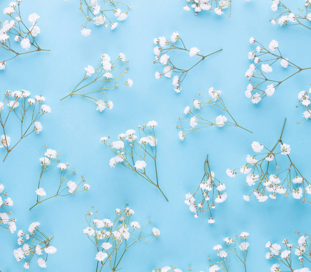 Gypsophila flowers on pastel background. Flat lay, top view, copy space. - Photo, image