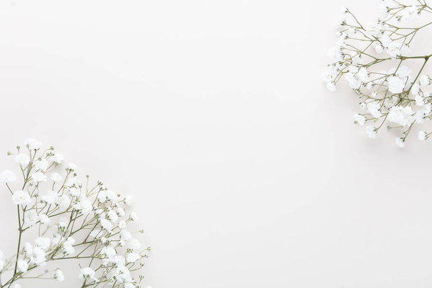 Gypsophila flowers on pastel background. Flat lay, top view, copy space. - Foto, afbeelding