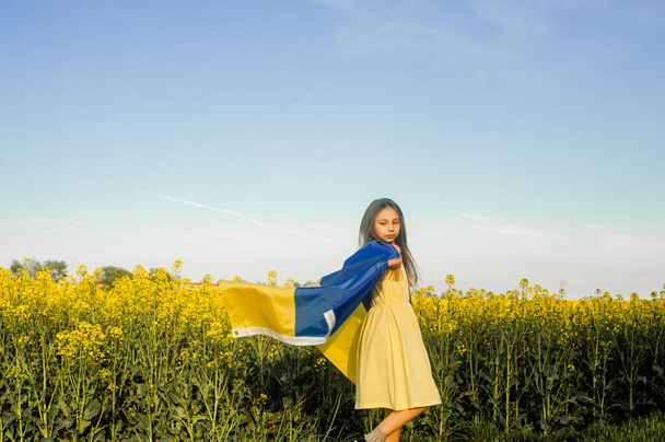 Child holding ukrainian flag in the meadow - Zdjęcie, obraz