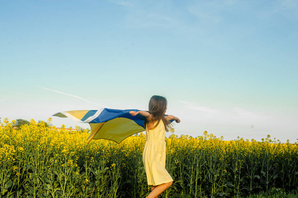 Child holding ukrainian flag in the meadow - Photo, Image