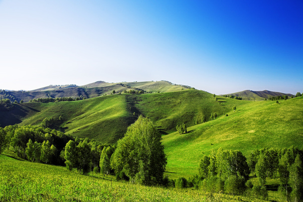táj, zöld dombok - Fotó, kép