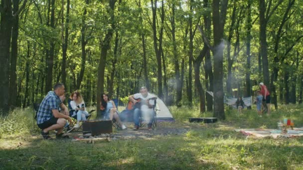 happy company, mom, dad, son, daughter and their friends are having a picnic in the forest area. family camping in summer.resting with tent in forest city park - 映像、動画