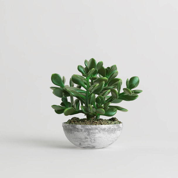 Beyaz arka planda izole edilmiş saksı bitkisinin 3D çizimi - Fotoğraf, Görsel