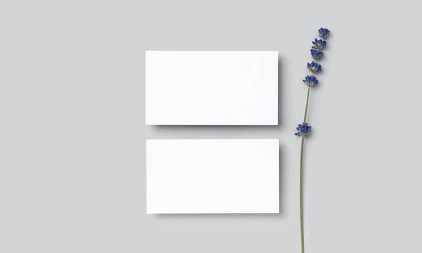 Макет два кушетки, знижка, візитка на сірому мінімалістичному фоні і лавандові квіти з копіювальним простором. Шаблон для дизайну
 - Фото, зображення