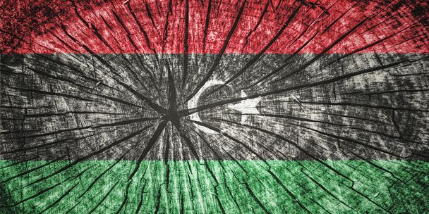 リビアの国旗 - 写真・画像