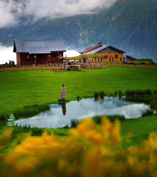 Badara Plateau view in fogy day at Rize Province of Turkey - 写真・画像