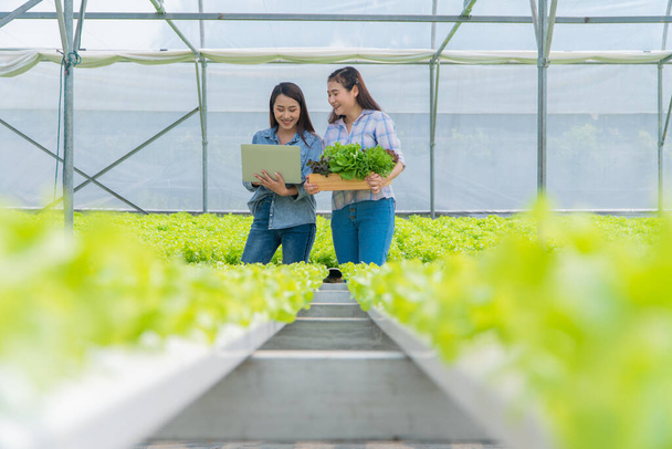 Asian woman farmer holding a vegetable basket of fresh vegetable salad on an organic farm and using a laptop to check customer order. Concept of agriculture organic for health, and Small business. - 写真・画像