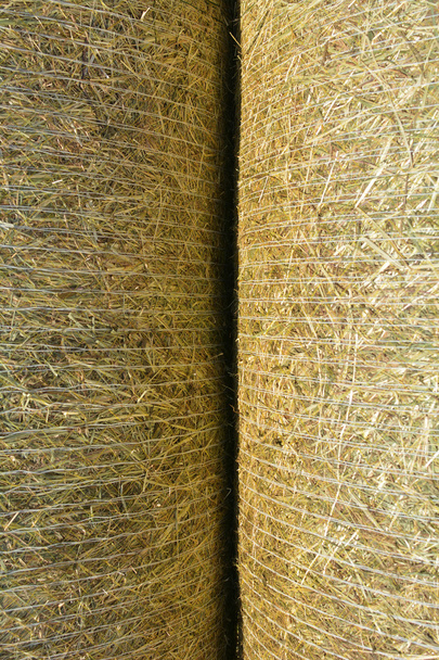 Straw bale background - Photo, Image