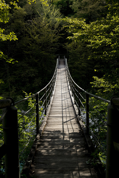 Hanging bridge - Photo, image