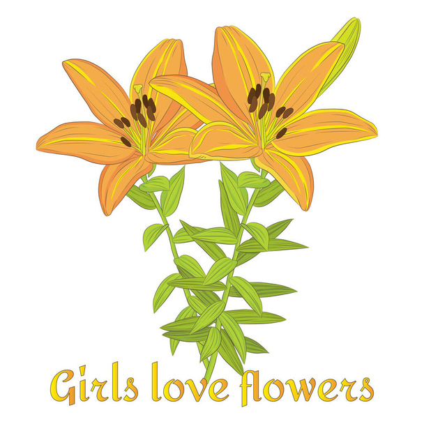 Vector graphic illustration with yellow lily flowers and a quote - Vector, Imagen