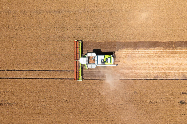 Luftaufnahme von oben über Mähdrescher bei der Arbeit auf dem Weizenfeld. Landwirtschaft, ungarische Agrarlandschaft, Nahrungsmittelkrise. - Foto, Bild