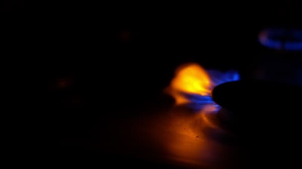 Gas cooker with burning flames of blue propane gas. - Materiał filmowy, wideo