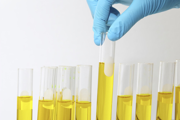 Chemiker hält Flüssigkeitsprobe in Labor oder Labor - Foto, Bild