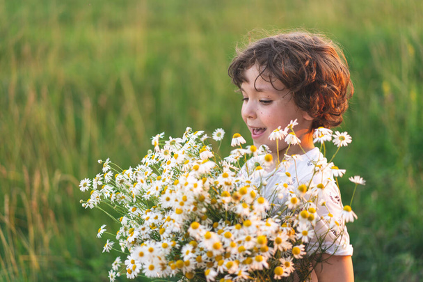 Cute smiling boy at camomile field at sunset in soft sunlight. Life without allergies, breathe freely. Boy and daisies. Child dreaming and smiling against the background of a camomile field. - Photo, Image