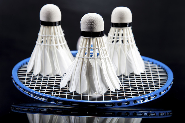 A set of badminton. Paddle and the shuttlecock. - Photo, Image