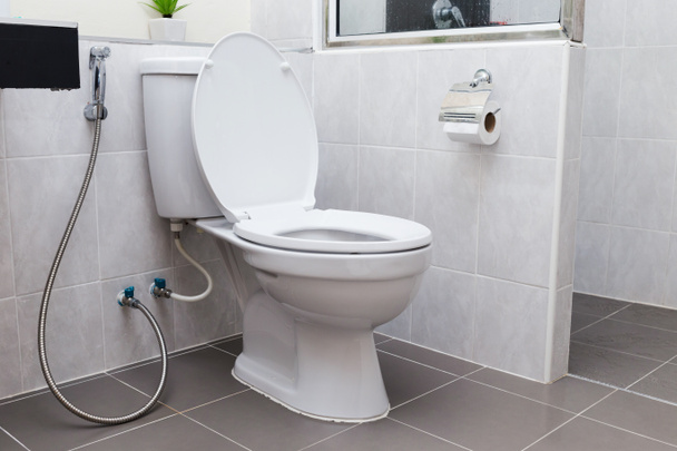 WC blanc à chasse d'eau dans la salle de bain moderne intérieur - Photo, image