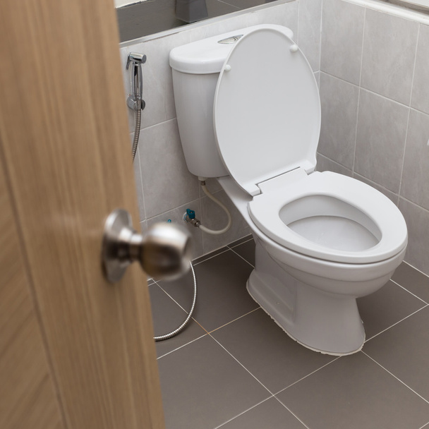 Modern banyo içinde beyaz sifon tuvalet - Fotoğraf, Görsel