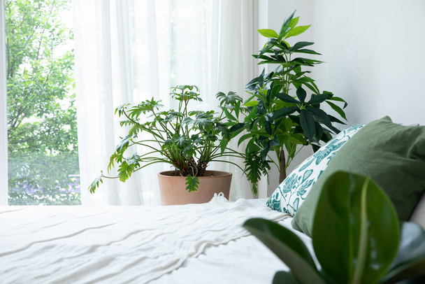 interior of modern room with green plants - Foto, Imagem