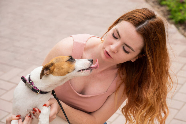 Dog jack russell terrier licks the owner in the face outdoors - Photo, Image