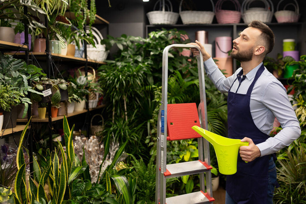 il proprietario del negozio di fiori si prende cura delle sue piante Annaffiamento da un annaffiatoio. - Foto, immagini