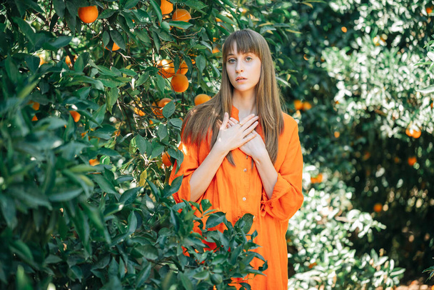 Young girl in orange dress is looking at camera by putting hands on waist  in orange garden  - 写真・画像