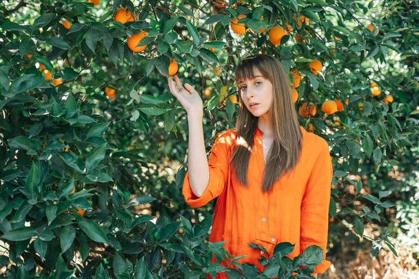 Seriously girl in orange dress is posing to camera by holding orange in tree in orange garden  - Foto, Imagem