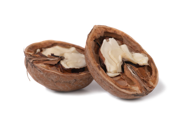 Halves of walnut - Foto, afbeelding