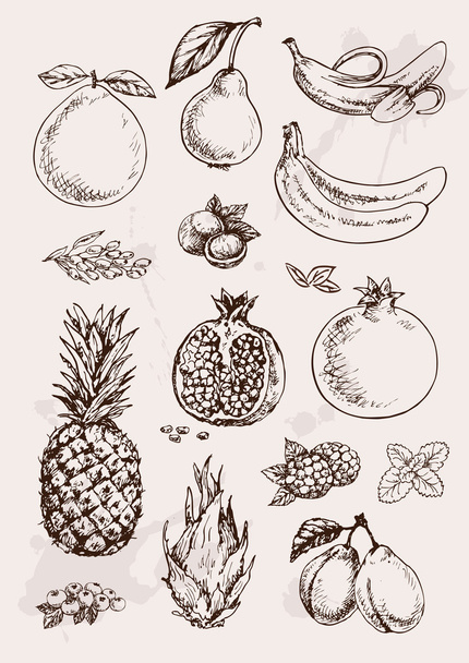 Collection of  fruits - Вектор,изображение