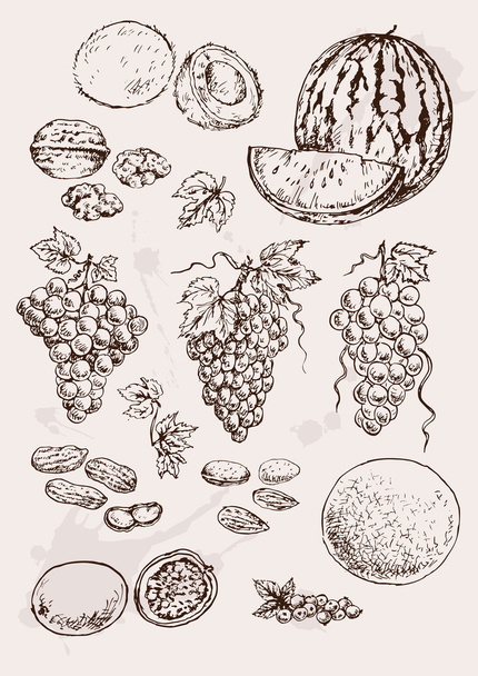 Käsi piirustus hedelmät
 - Vektori, kuva