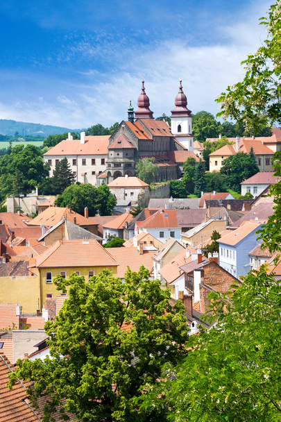 St. Procopius church and Jewish town, Trebic, Czech republic - Foto, imagen