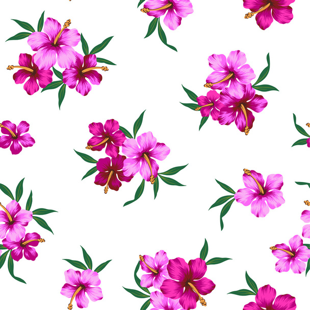 Pattern of Hibiscus - ベクター画像
